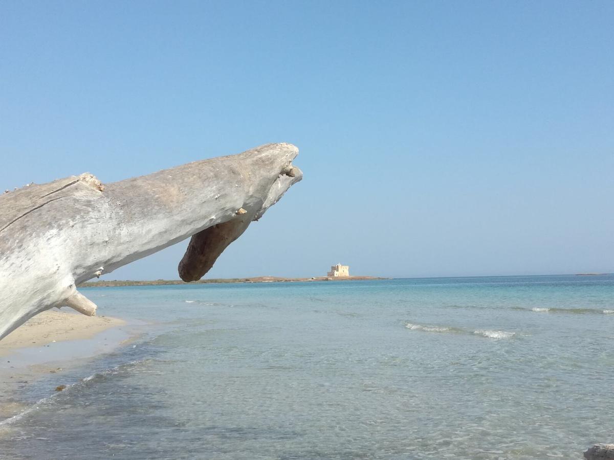 La Dimora Salento Bed & Breakfast Carovigno Dış mekan fotoğraf